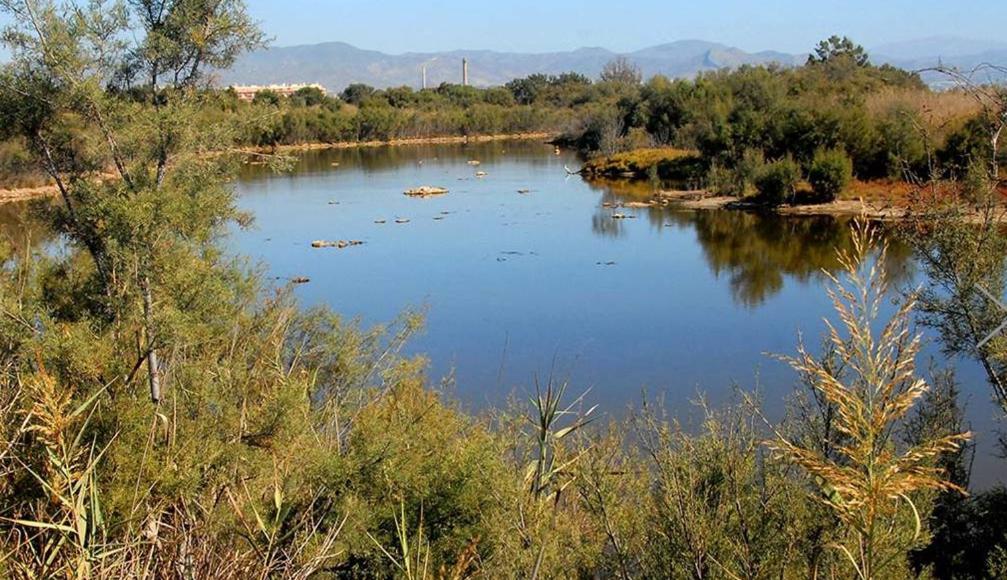 Guadalmarina - Playa, Naturaleza Y Ciudad Málaga