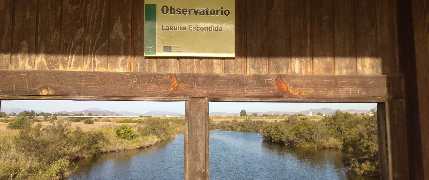 Apartamento Piso En Entorno Natural Con Excelente Comunicacion *